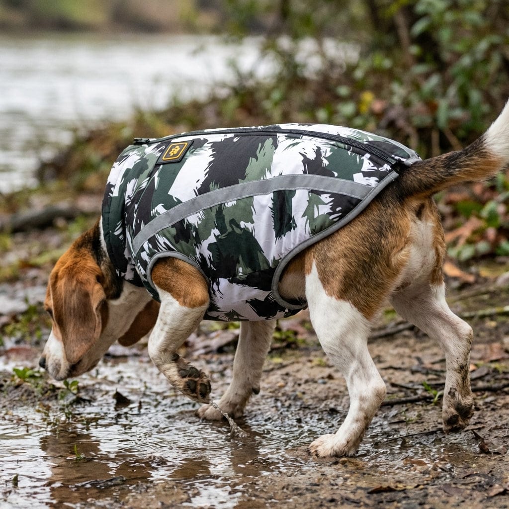 Water Resistant Dog Mesh Jacket on a beagle exploring a muddy area, designed to keep dogs warm and dry.