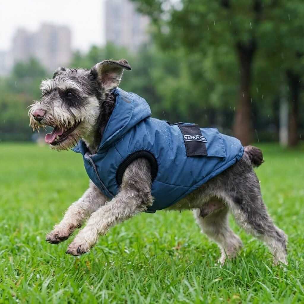 Dog wearing a Waterproof Winter Dog Coat, designed for comfort in wet weather, suitable for dogs and cats.