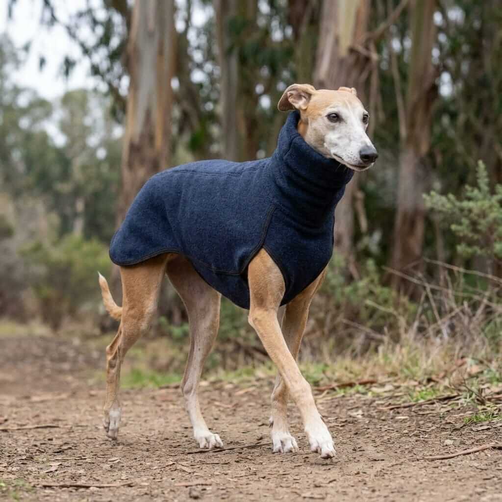 Winter High Collar Dog Sweater on a greyhound outdoors, featuring a stylish knit design for comfort and warmth.
