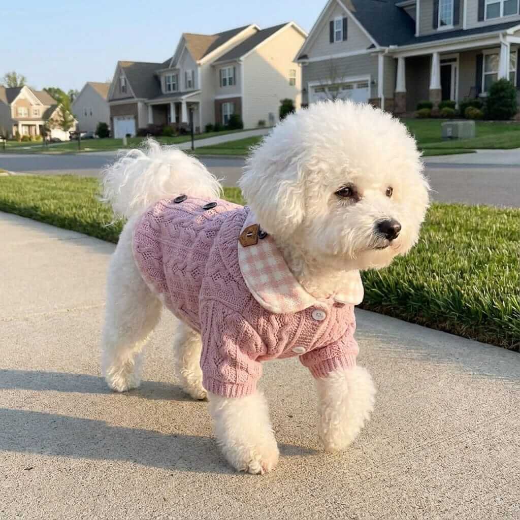 Woolen Plaid Dog Sweater on a fluffy white dog, showcasing comfort features and stylish design for Dogs & Cats.