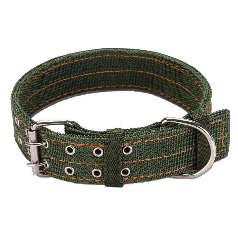 Adjustable Nylon Dog Collar in green with metal D-ring and adjustable design for dogs and cats.