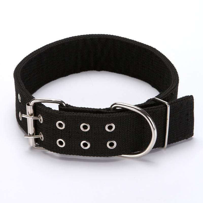 Adjustable Nylon Dog Collar with durable metal D-ring design for dogs and cats by Dogs & Cats.