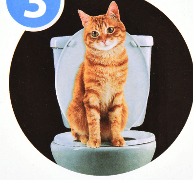 Cat Toilet Trainer showcasing a cat on a toilet, featuring unique square shape for easy training by Dogs & Cats.