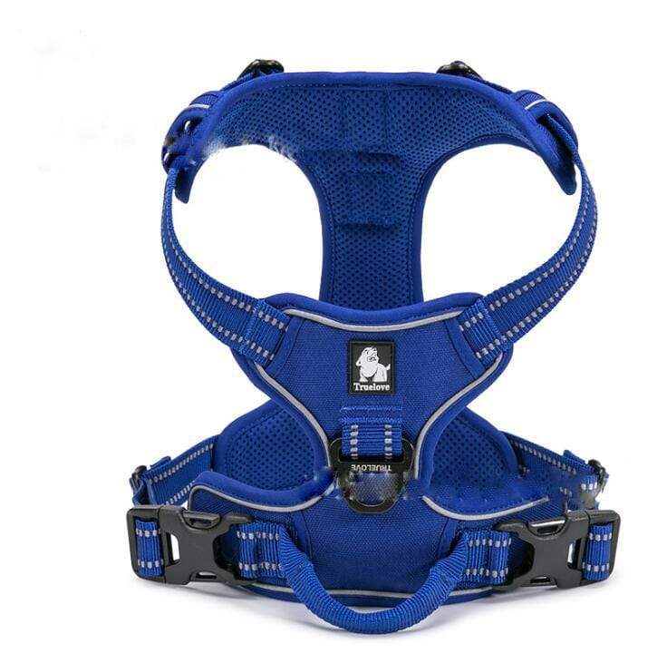 Comfortable Safety Harness for Dogs - durable blue harness with padded design and adjustable straps from Dogs & Cats.