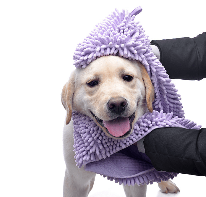 Dog & Cat Quick Absorb Bath Towel on a happy dog, showcasing its fast absorbent microfiber material.