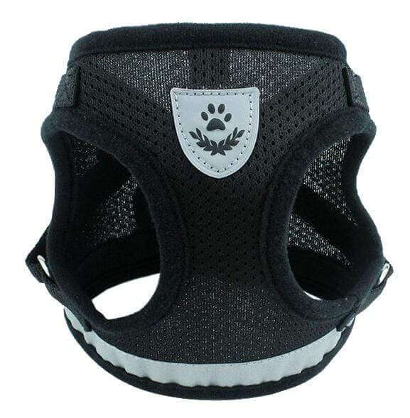 Dog Harness Leash Set featuring comfortable air-mesh padding and adjustable quick-release chest belt for dogs & cats.