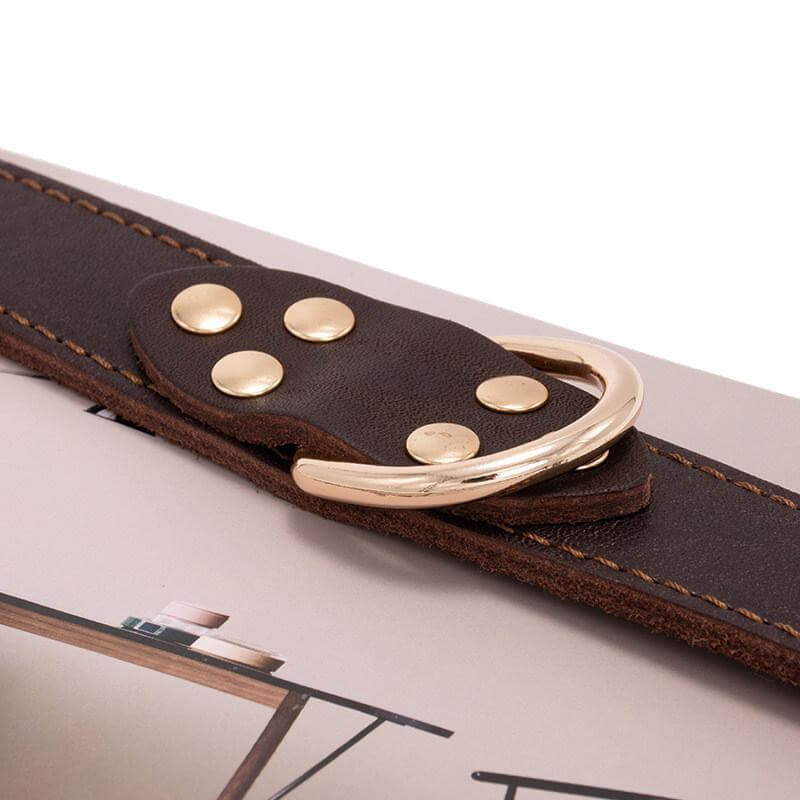 Dog Leather Adjustable Collar close-up showing nickel studs and durable stitching by Dogs & Cats.
