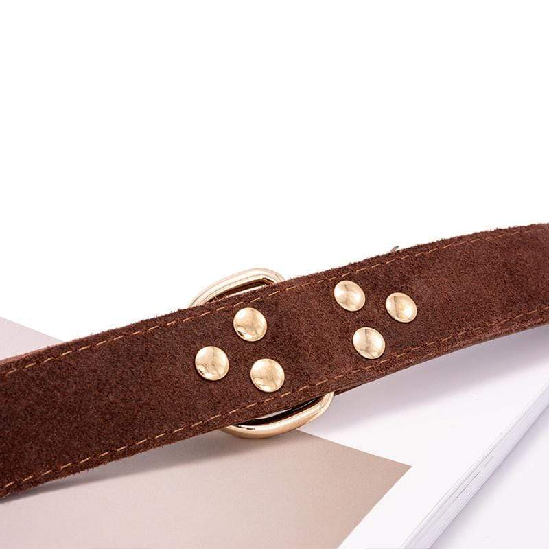 Dog Leather Adjustable Collar showing sturdy stitching and nickel studs for durability and style.
