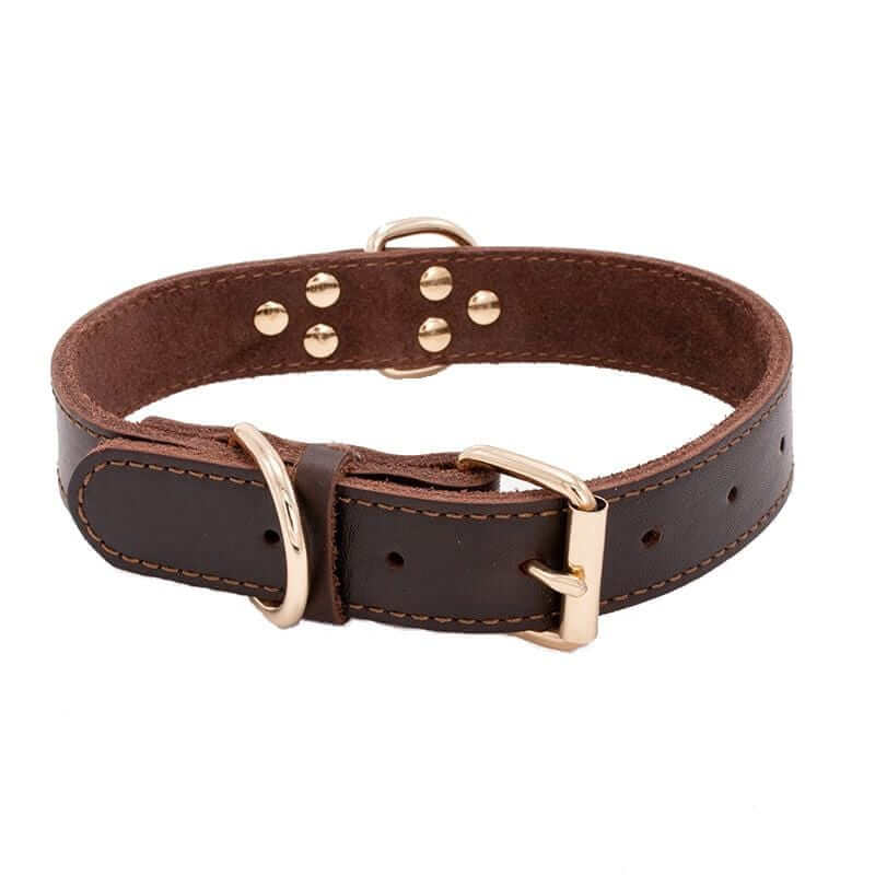 Dog Leather Adjustable Collar showcasing genuine leather, sturdy stitching, and nickel hardware for durability and style.