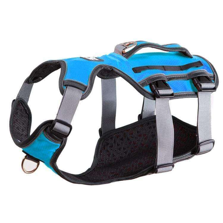 Dog Thoracolumbar Harness, breathable mesh, durable fastener, comfortable fit for Dogs & Cats.