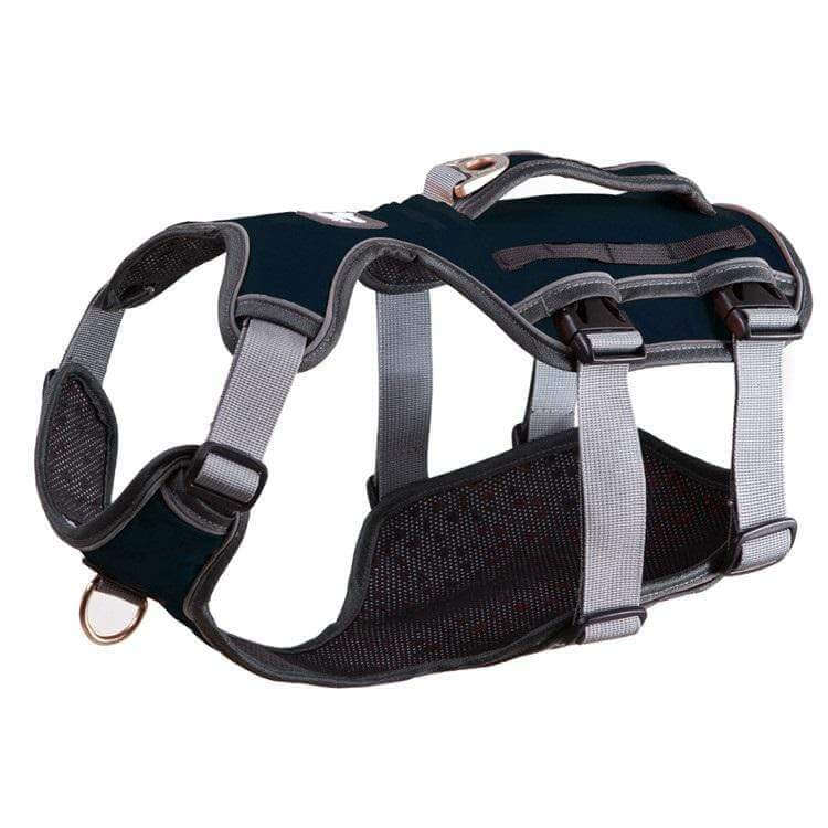 Dog Thoracolumbar Harness made for Dogs & Cats, features breathable mesh, durable fastener, and quick-release buckle.