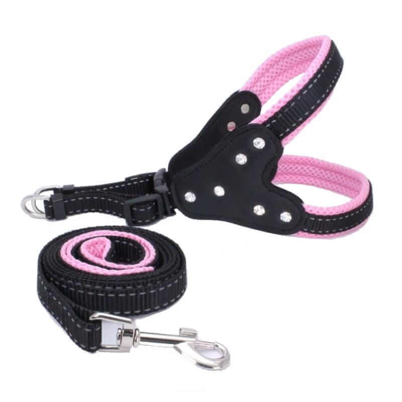 Dog Triangle Chest Strap with leash, adjustable, soft fabric, padded panels for comfort, perfect for dogs and cats.
