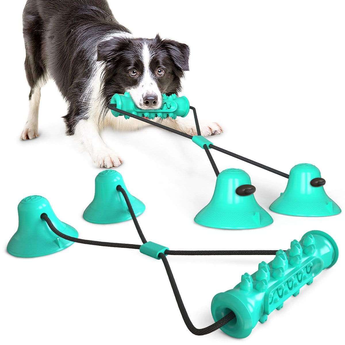 Double Suction Cup Dog Chew Toy with suction cups for puppies from Dogs & Cats brand, durable and gentle for playtime.