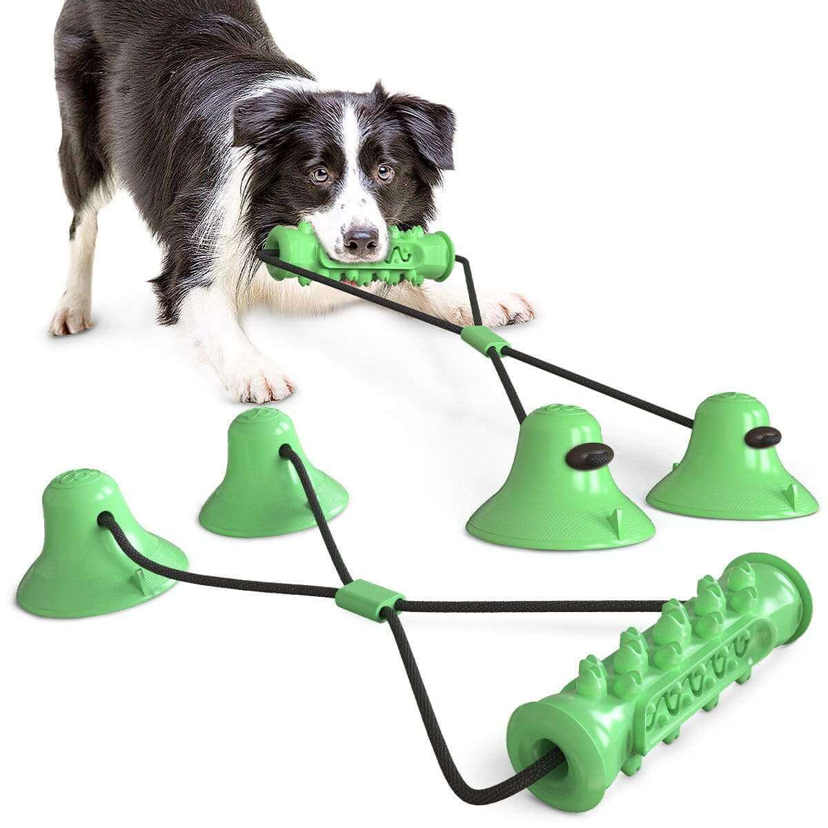 Double Suction Cup Dog Chew Toy featuring durable suction cups for teething puppies, from Dogs & Cats brand.
