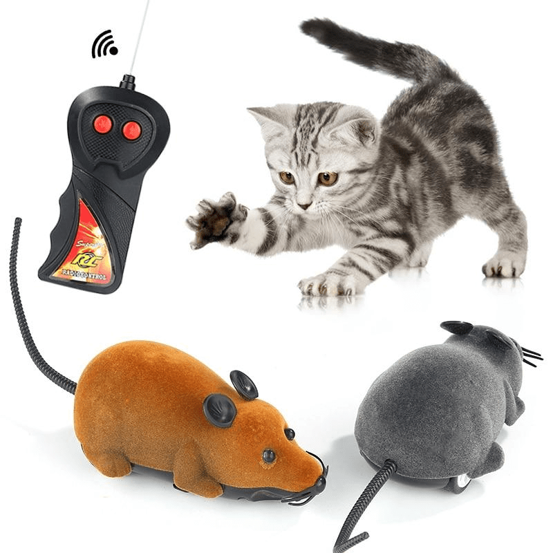 Electric Remote Control Mouse and remote control with a cat playing, lifelike movement, perfect for Dogs & Cats.