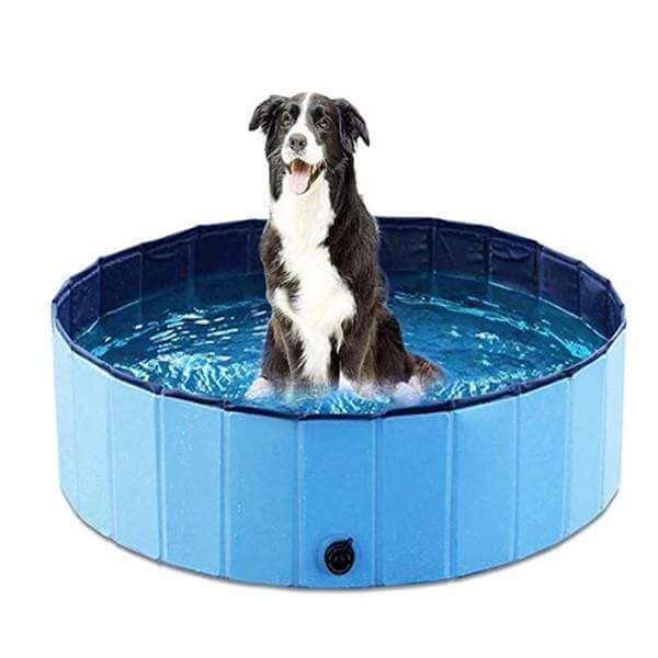 Foldable Pet Dog Swimming Pool Shower Bath Pool with a dog enjoying a splash in the water, portable and durable design.