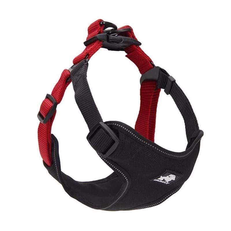 Full Adjustable Dog Harness with breathable material and adjustable fastener for comfort and fit, from Dogs & Cats.