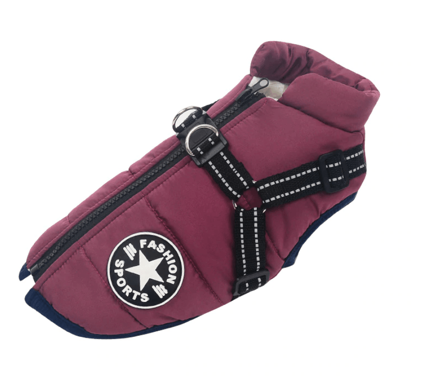 Golden Retriever Quilted Coat - Stylish quilted dog coat for winter warmth and comfort, by Dogs & Cats brand.