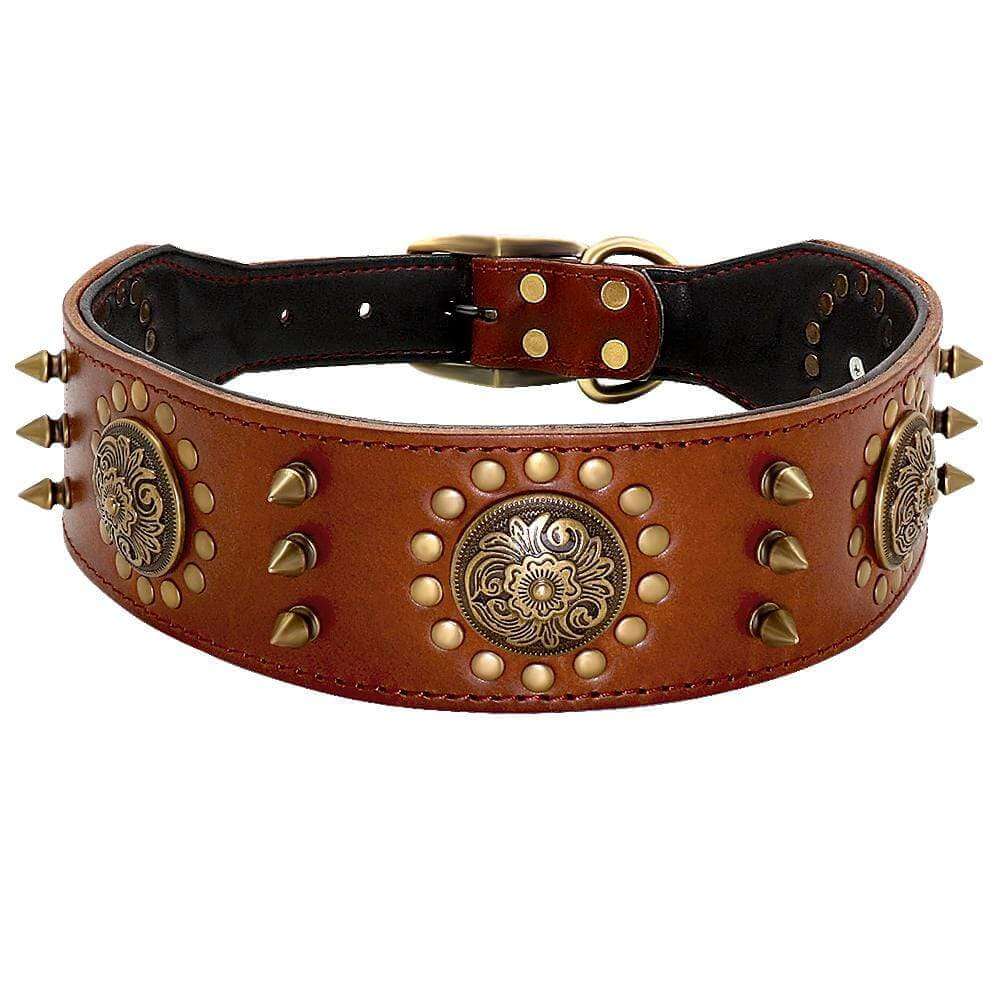 Leather Stud Dog Collar designed for dogs, featuring durable leather and adjustable fit, perfect for daily wear by Dogs & Cats.