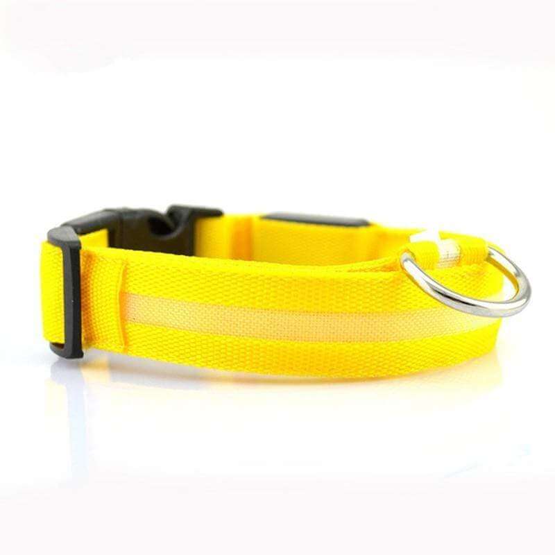 Rechargeable Flashing Light Collar for Dogs - LED safety collar with durable D-ring, bright yellow for nighttime visibility.