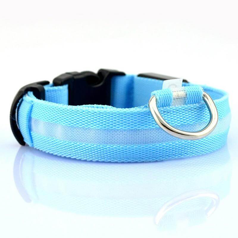 Rechargeable Flashing Light Collar for Dogs, LED safety collar for pets, bright visibility, durable D-ring, Dogs & Cats brand