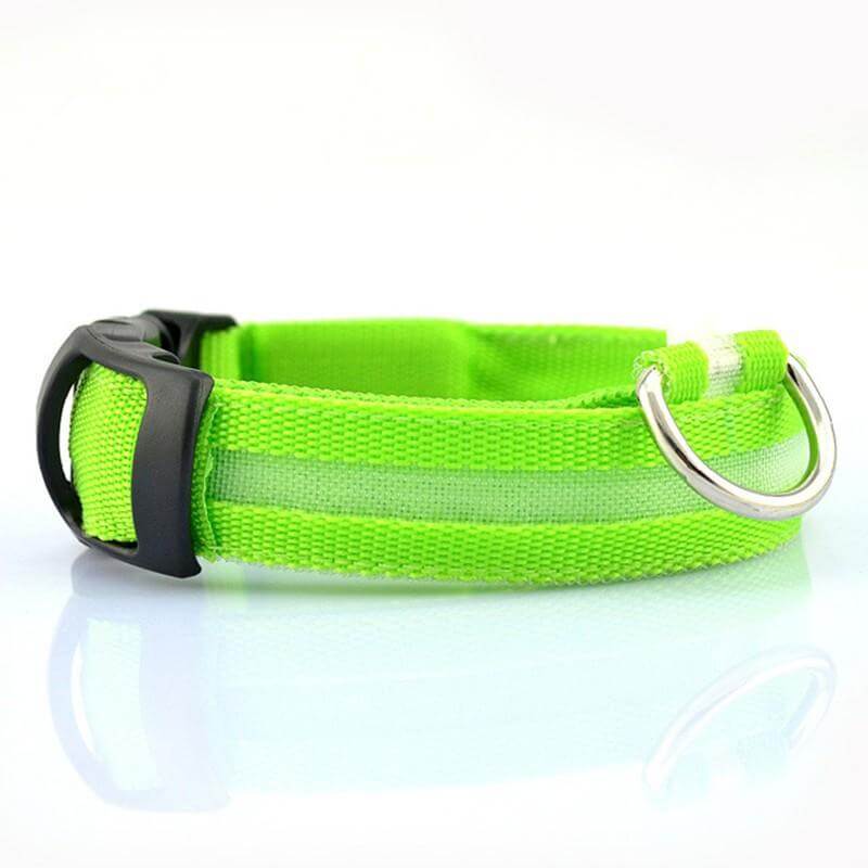 Rechargeable Flashing Light Collar for Dogs, LED safety collar, durable design, Dogs & Cats brand