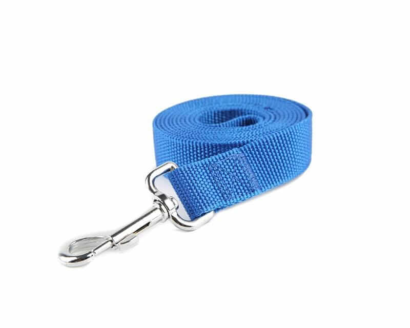 Reflective Nylon Dog Leash for Medium Sized Pets in blue color with silver clip, durable for outdoor activities.