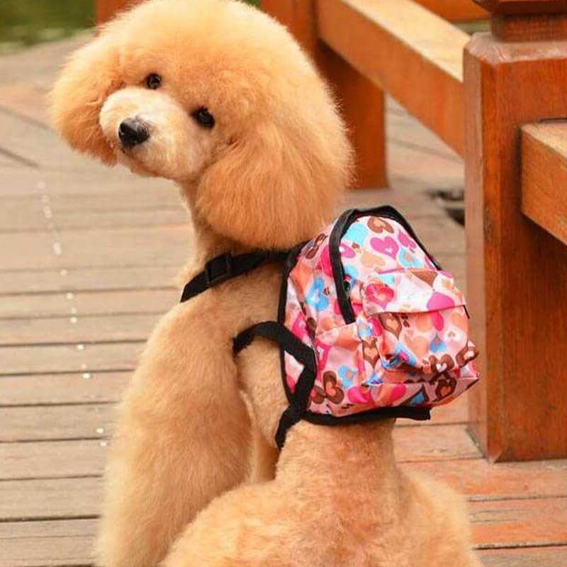 Unicorn Dog Backpack on a fluffy dog, featuring a cute design and expandable pocket for storage.