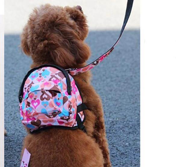 Unicorn Dog Backpack on a brown dog, featuring a saddlebag design and heart pattern, perfect for dogs by Dogs & Cats.