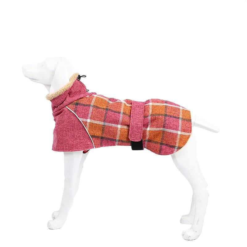 Wool Plaid Dog Coat on a dog, featuring a stylish plaid design and fuzzy fastener from Dogs & Cats brand.